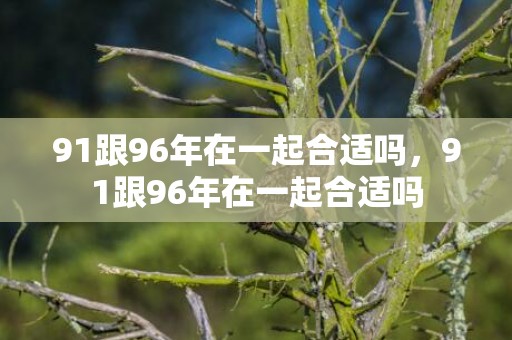 91跟96年在一起合适吗，91跟96年在一起合适吗