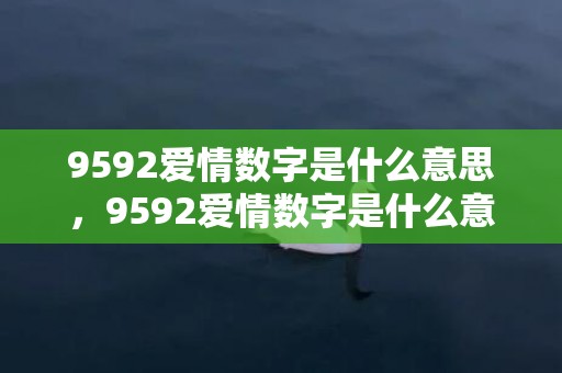 9592爱情数字是什么意思，9592爱情数字是什么意思