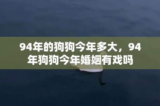 94年的狗狗今年多大，94年狗狗今年婚姻有戏吗