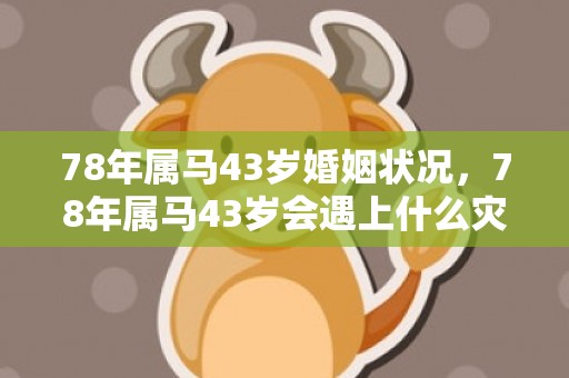78年属马43岁婚姻状况，78年属马43岁会遇上什么灾难 运势如何