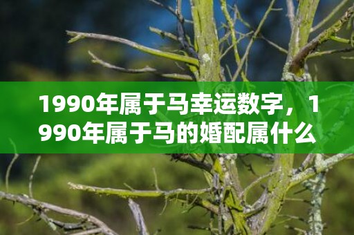 1990年属于马幸运数字，1990年属于马的婚配属什么的 属马男和属羊女配吗