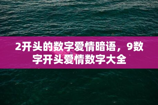 2开头的数字爱情暗语，9数字开头爱情数字大全