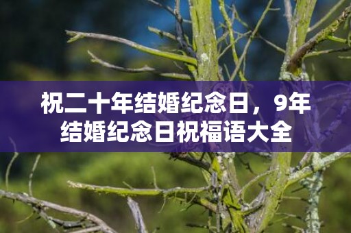 祝二十年结婚纪念日，9年结婚纪念日祝福语大全
