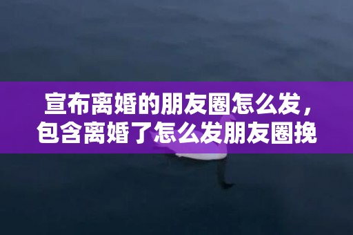 宣布离婚的朋友圈怎么发，包含离婚了怎么发朋友圈挽回的词条