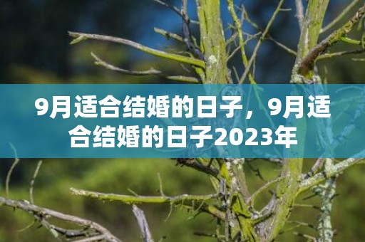 9月适合结婚的日子，9月适合结婚的日子2023年