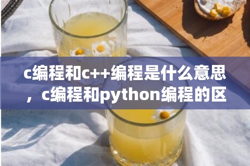 c编程和c++编程是什么意思，c编程和python编程的区别