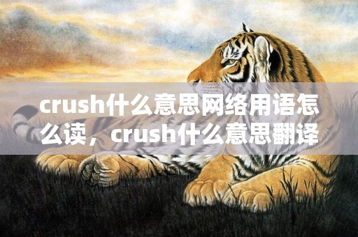 crush什么意思网络用语怎么读，crush什么意思翻译中文