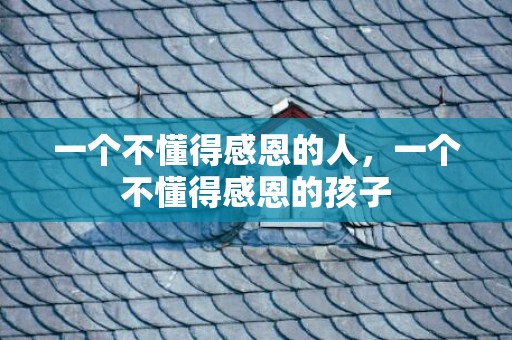 一个不懂得感恩的人，一个不懂得感恩的孩子