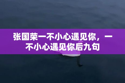 张国荣一不小心遇见你，一不小心遇见你后九句