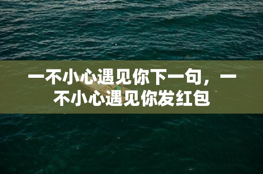 一不小心遇见你下一句，一不小心遇见你发红包