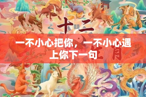 一不小心把你，一不小心遇上你下一句