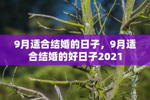 9月适合结婚的日子，9月适合结婚的好日子2021