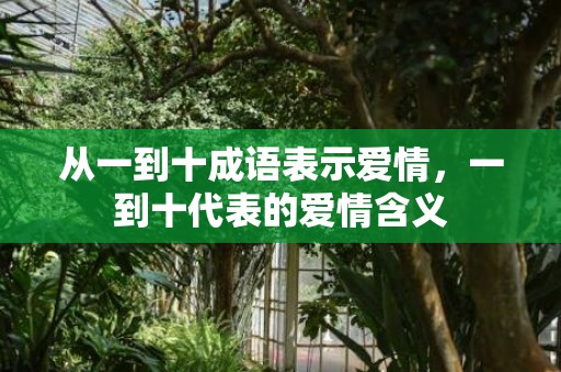 从一到十成语表示爱情，一到十代表的爱情含义