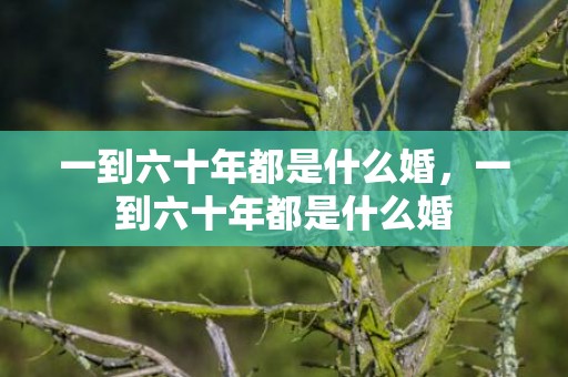 一到六十年都是什么婚，一到六十年都是什么婚