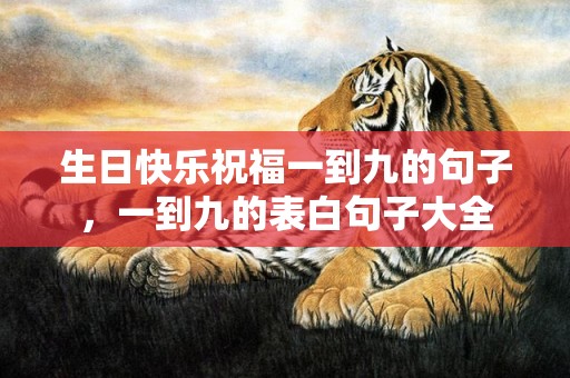 生日快乐祝福一到九的句子，一到九的表白句子大全