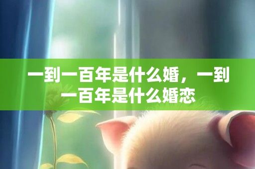 一到一百年是什么婚，一到一百年是什么婚恋