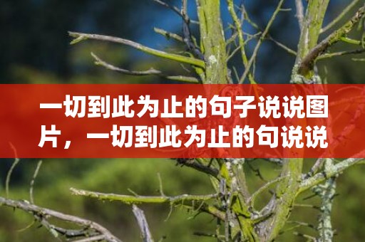 一切到此为止的句子说说图片，一切到此为止的句说说