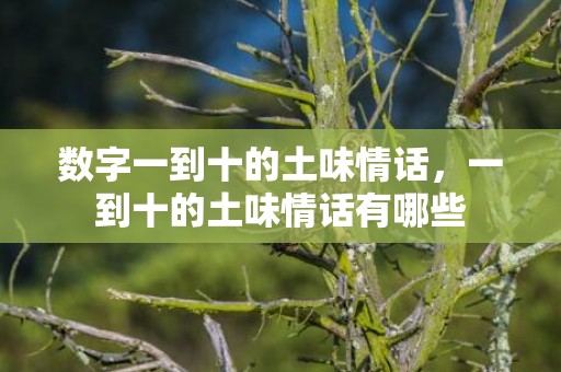数字一到十的土味情话，一到十的土味情话有哪些