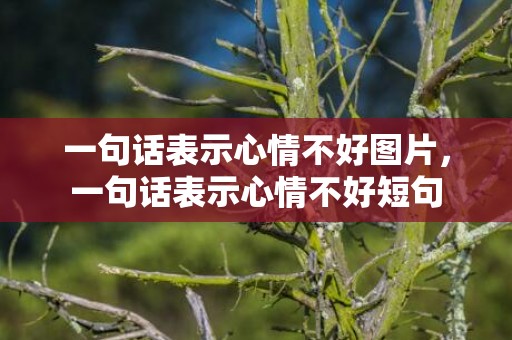 一句话表示心情不好图片，一句话表示心情不好短句