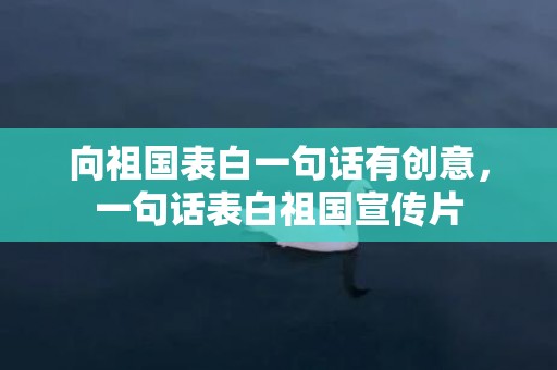 向祖国表白一句话有创意，一句话表白祖国宣传片