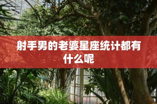 射手男的老婆星座统计都有什么呢