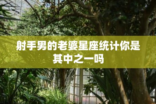射手男的老婆星座统计你是其中之一吗