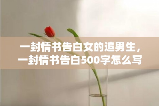 一封情书告白女的追男生，一封情书告白500字怎么写