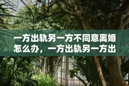 一方出轨另一方不同意离婚怎么办，一方出轨另一方出轨报复