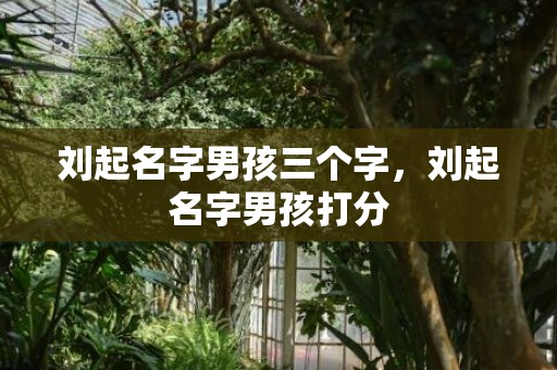 刘起名字男孩三个字，刘起名字男孩打分