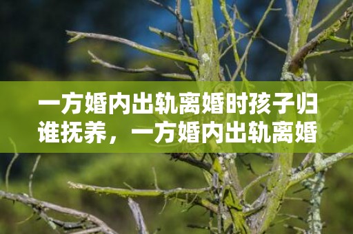 一方婚内出轨离婚时孩子归谁抚养，一方婚内出轨离婚怎么判