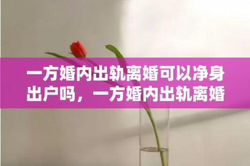 一方婚内出轨离婚可以净身出户吗，一方婚内出轨离婚协议