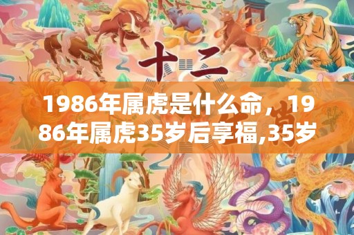 1986年属虎是什么命，1986年属虎35岁后享福,35岁过后会有好运吗