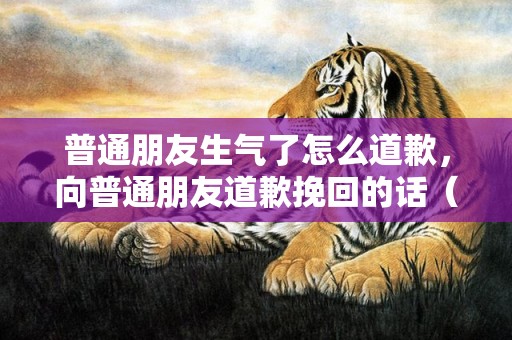 普通朋友生气了怎么道歉，向普通朋友道歉挽回的话（向普通朋友道歉挽回的话语）