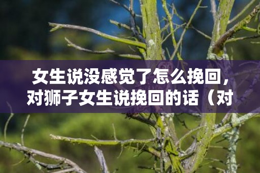 女生说没感觉了怎么挽回，对狮子女生说挽回的话（对狮子女生说挽回的话有哪些）