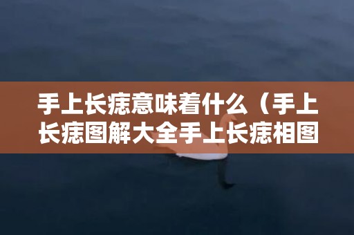 手上长痣意味着什么（手上长痣图解大全手上长痣相图解大全）