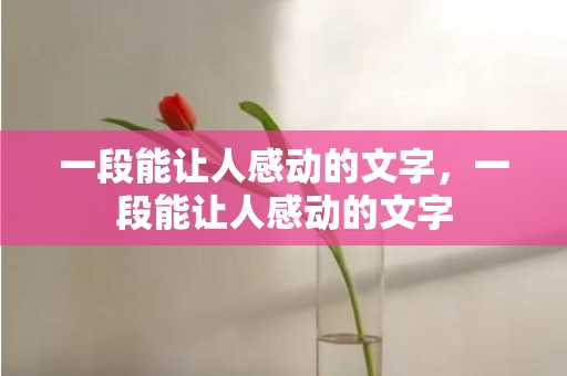 一段能让人感动的文字，一段能让人感动的文字