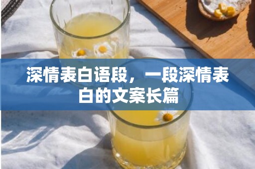 深情表白语段，一段深情表白的文案长篇