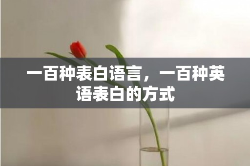 一百种表白语言，一百种英语表白的方式