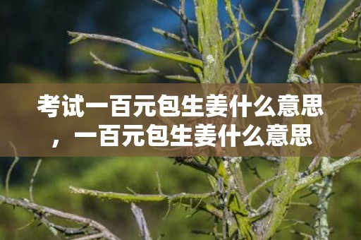 考试一百元包生姜什么意思，一百元包生姜什么意思