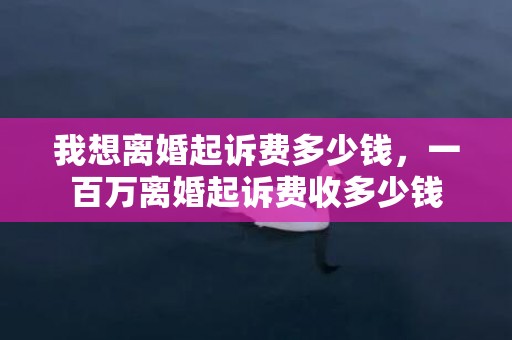 我想离婚起诉费多少钱，一百万离婚起诉费收多少钱