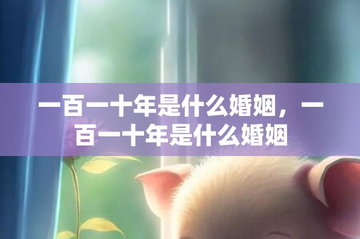一百一十年是什么婚姻，一百一十年是什么婚姻