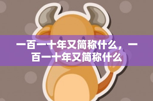 一百一十年又简称什么，一百一十年又简称什么