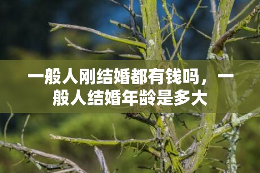 一般人刚结婚都有钱吗，一般人结婚年龄是多大
