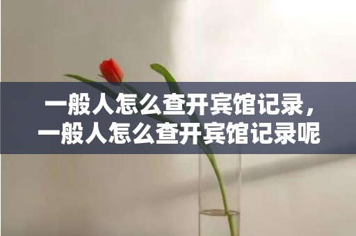 一般人怎么查开宾馆记录，一般人怎么查开宾馆记录呢