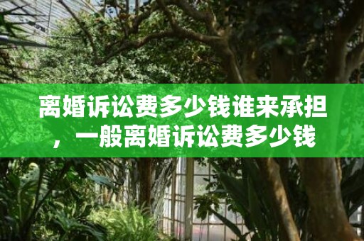 离婚诉讼费多少钱谁来承担，一般离婚诉讼费多少钱