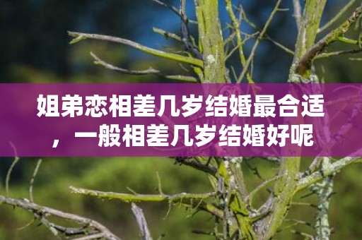 姐弟恋相差几岁结婚最合适，一般相差几岁结婚好呢