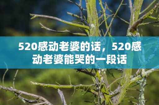 520感动老婆的话，520感动老婆能哭的一段话