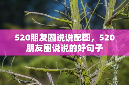 520朋友圈说说配图，520朋友圈说说的好句子