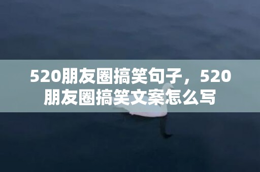 520朋友圈搞笑句子，520朋友圈搞笑文案怎么写