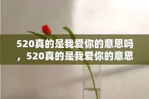 520真的是我爱你的意思吗，520真的是我爱你的意思吗